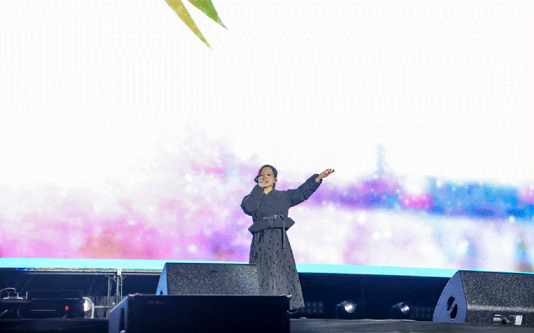 平陽體育中心群星演唱會(huì)！超萬人圍觀，現(xiàn)場火爆High唱！