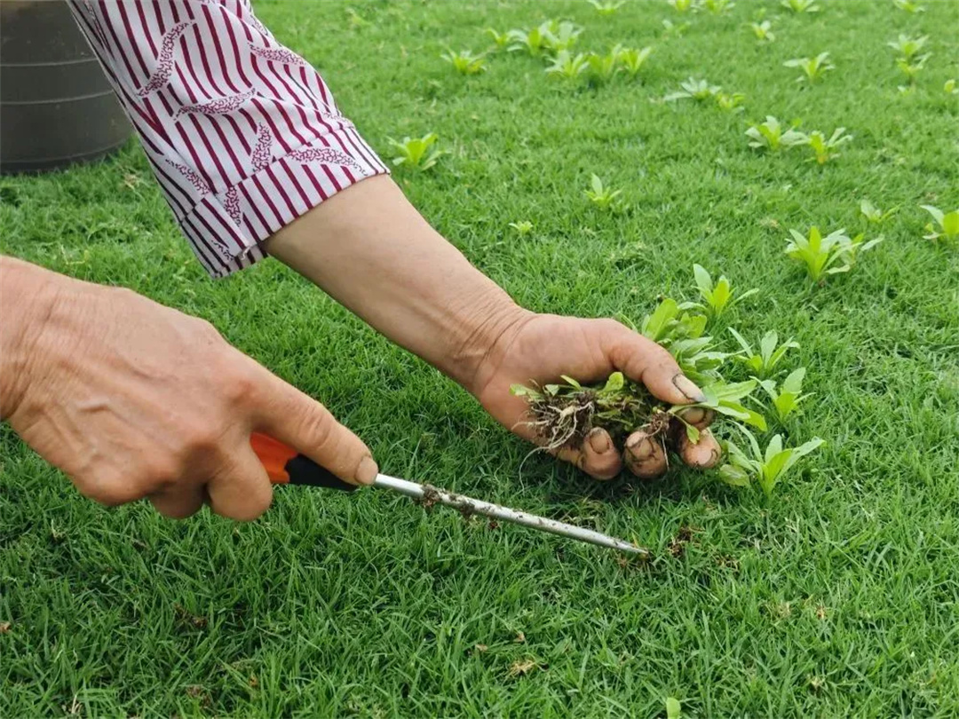 萬豪集團匠心助力，6月齊聚重慶龍興足球場為國足吶喊助威！